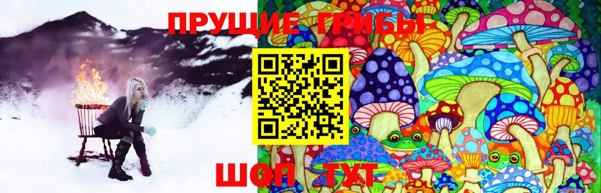Псилоцибиновые грибы Psilocybe Нарткала